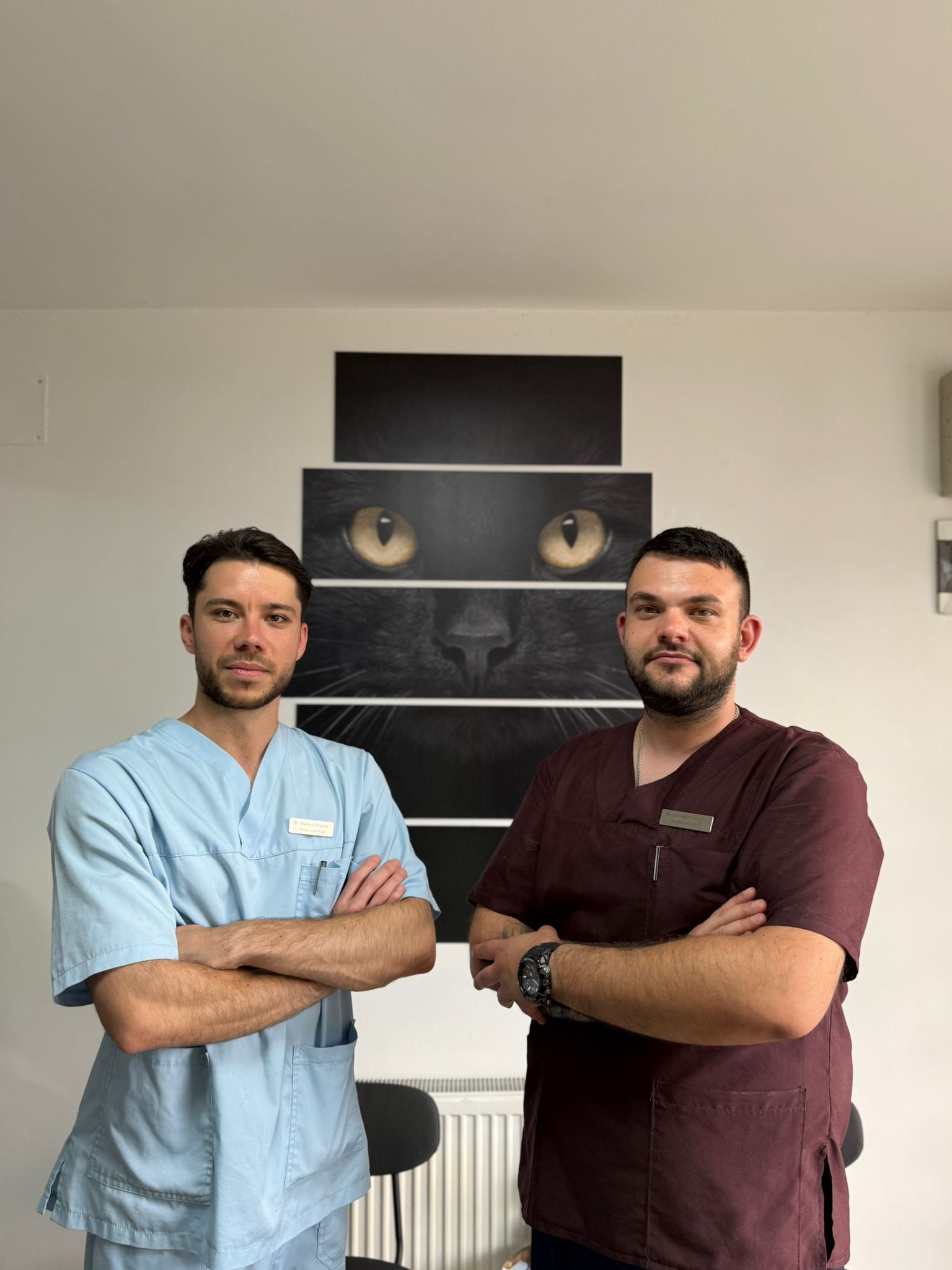 Veterinary clinic team